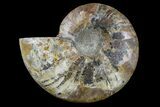 Cut & Polished Ammonite Fossil (Half) - Madagascar #166914-1